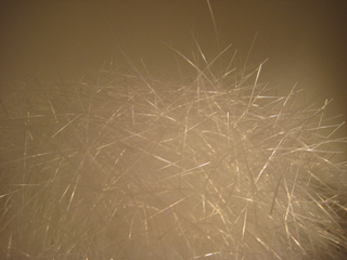 Illustration for article titled Two Million Fast Food Straws Used for Interior Design